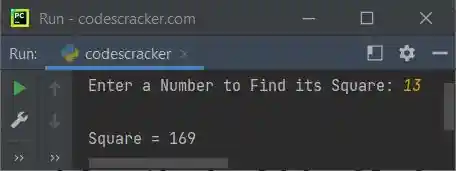 python function with single argument