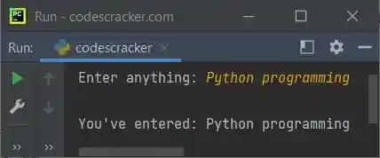 python input function