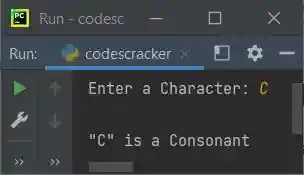 python program check vowel