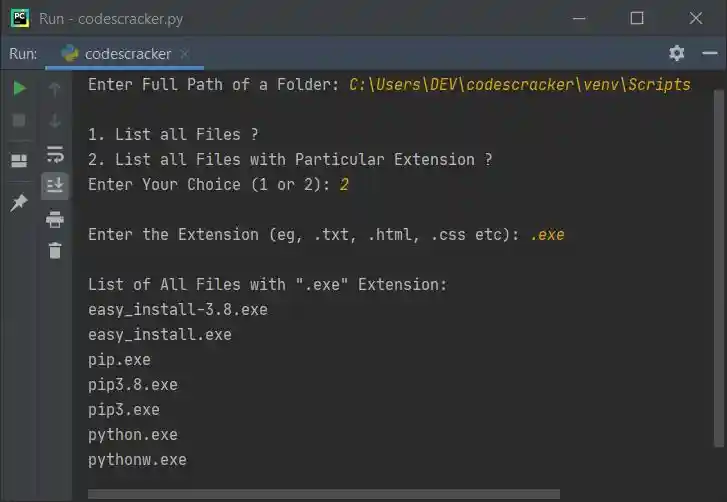python program to print files from any directory