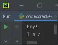 python read function program