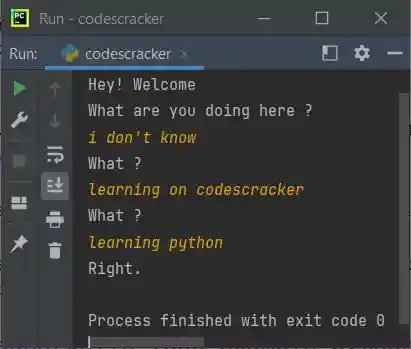 python while loop code