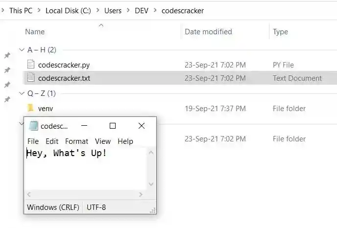 seek function python