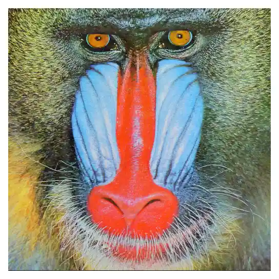 The canonical mandrill face.