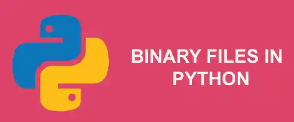 Binary Files in Python