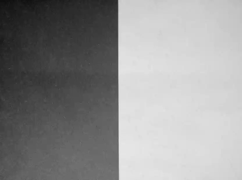 Black and white image