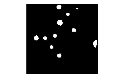 Binary mask of the bacteria colonies image