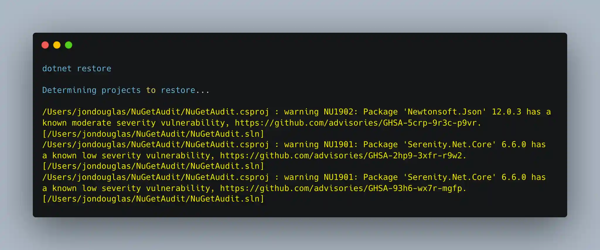 Screenshot of terminal window showing warnings for insecure packages after calling dotnet restore