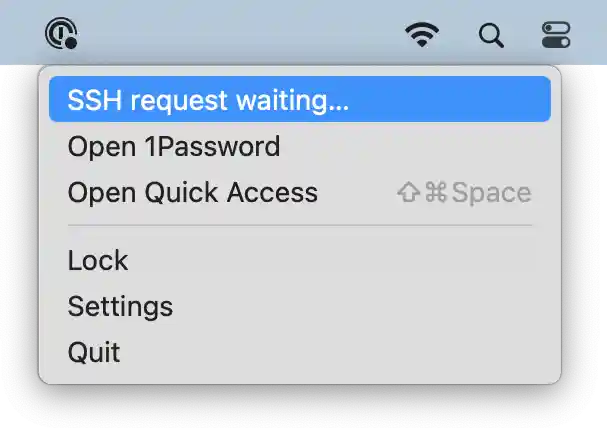 Turn on the settings in 1Password to make sure the agent keeps running