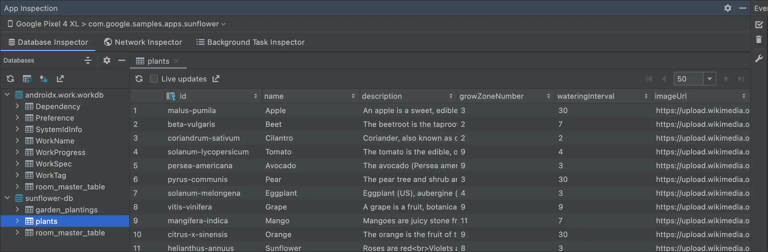 Screenshot of the Database Inspector window.