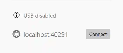 A screenshot of localhost:40291 in the sidebar on about:debugging