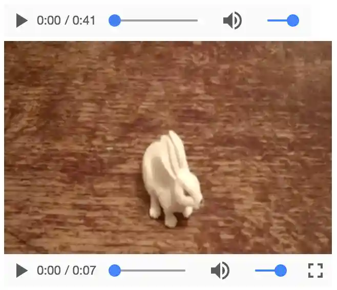 Screenshot of Video Controls in Chrome