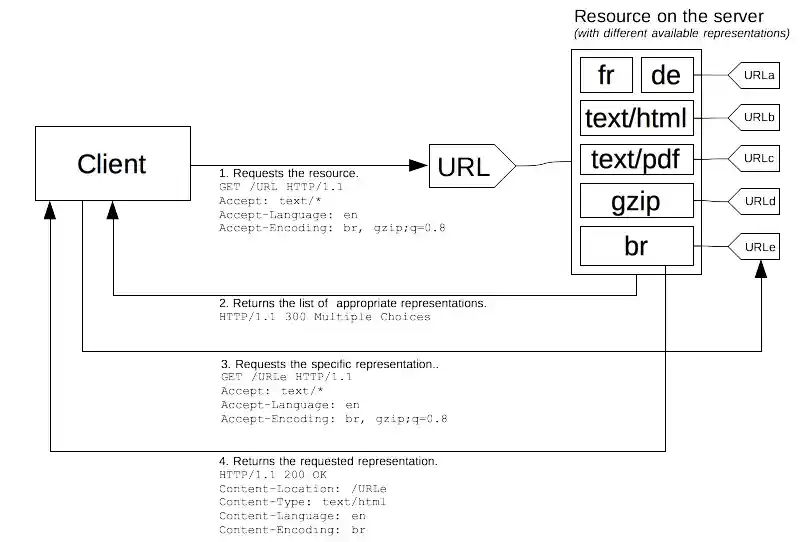 Un client demande une URL dont les en-têtes indiquent une préférence pour les types de contenu. Le serveur possède plusieurs ressources qui correspondent à l'URL et renvoie une réponse multiple afin que le client puisse choisir un corps avec l'algorithme de compression privilégié.