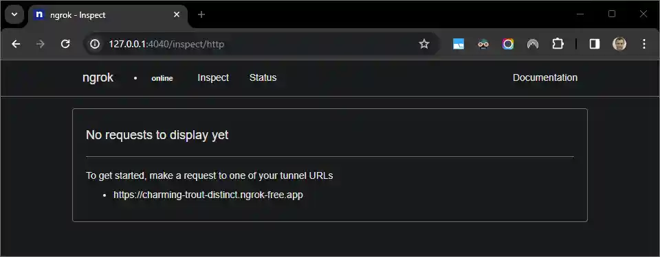 The web interface hosted by the ngrok application showing no HTTP requests.