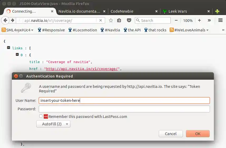 Put token in Firefox browser