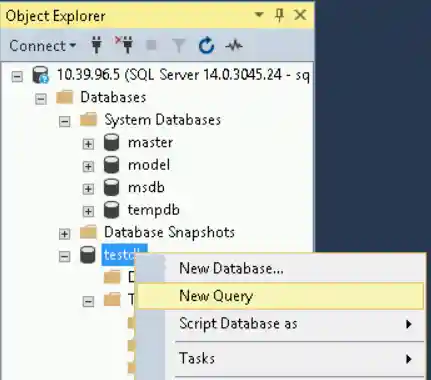 For testdb, select New Query