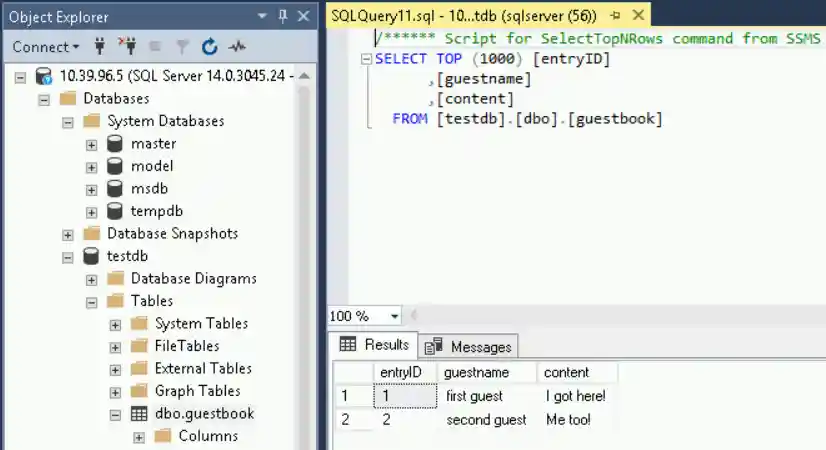 View the results of your query