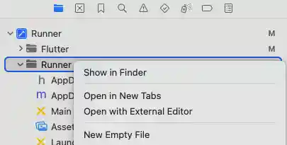 New Empty File option in Xcode
