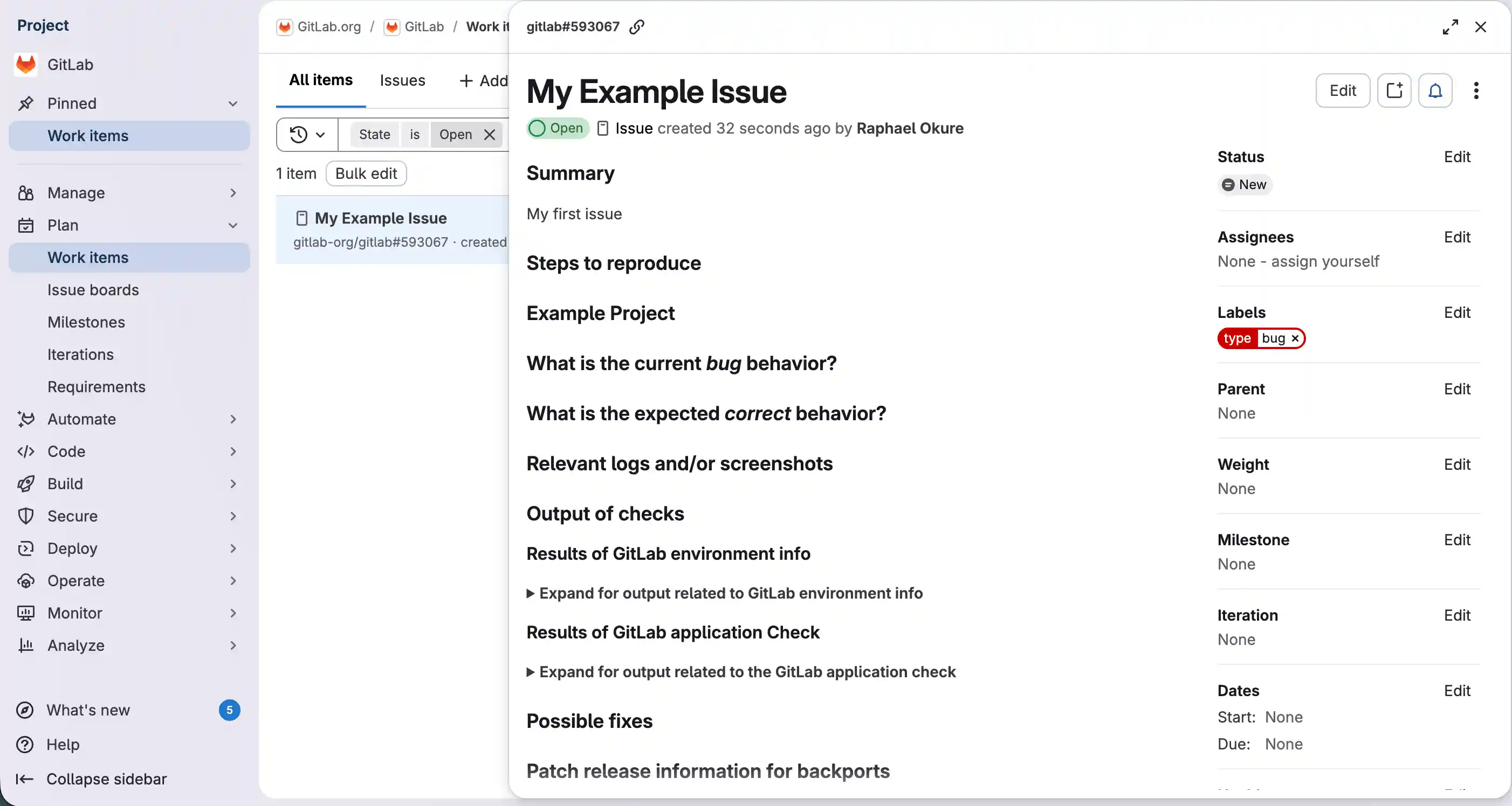 Issue opened in a panel covering part of the Issues panel.