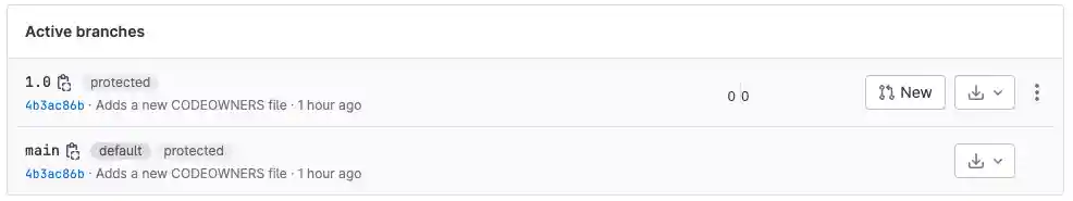 List of branches, showing 1.0.0 is protected