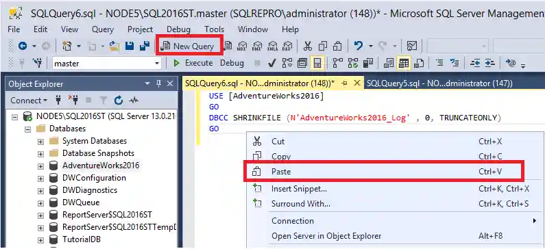 Screenshot of Paste script.