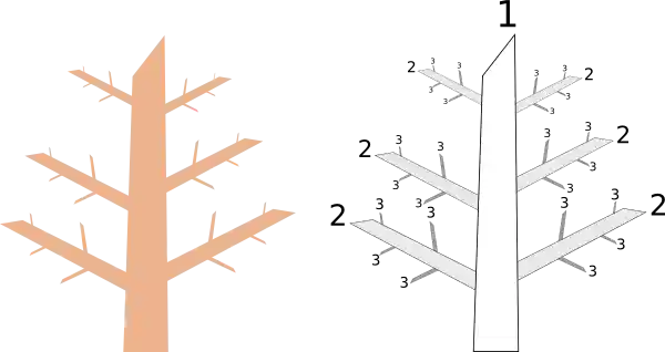 A diagram showing tree levels: the first level is the trunk. It has six primary branches. Each of those branches has four secondary branches.