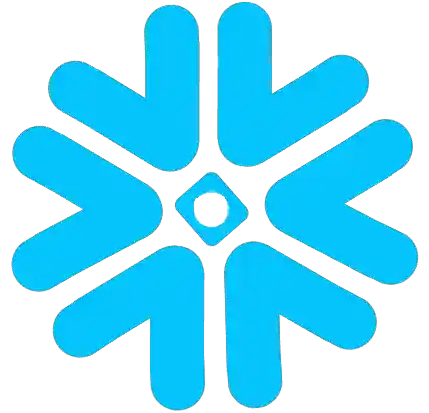 Snowflake Logo
