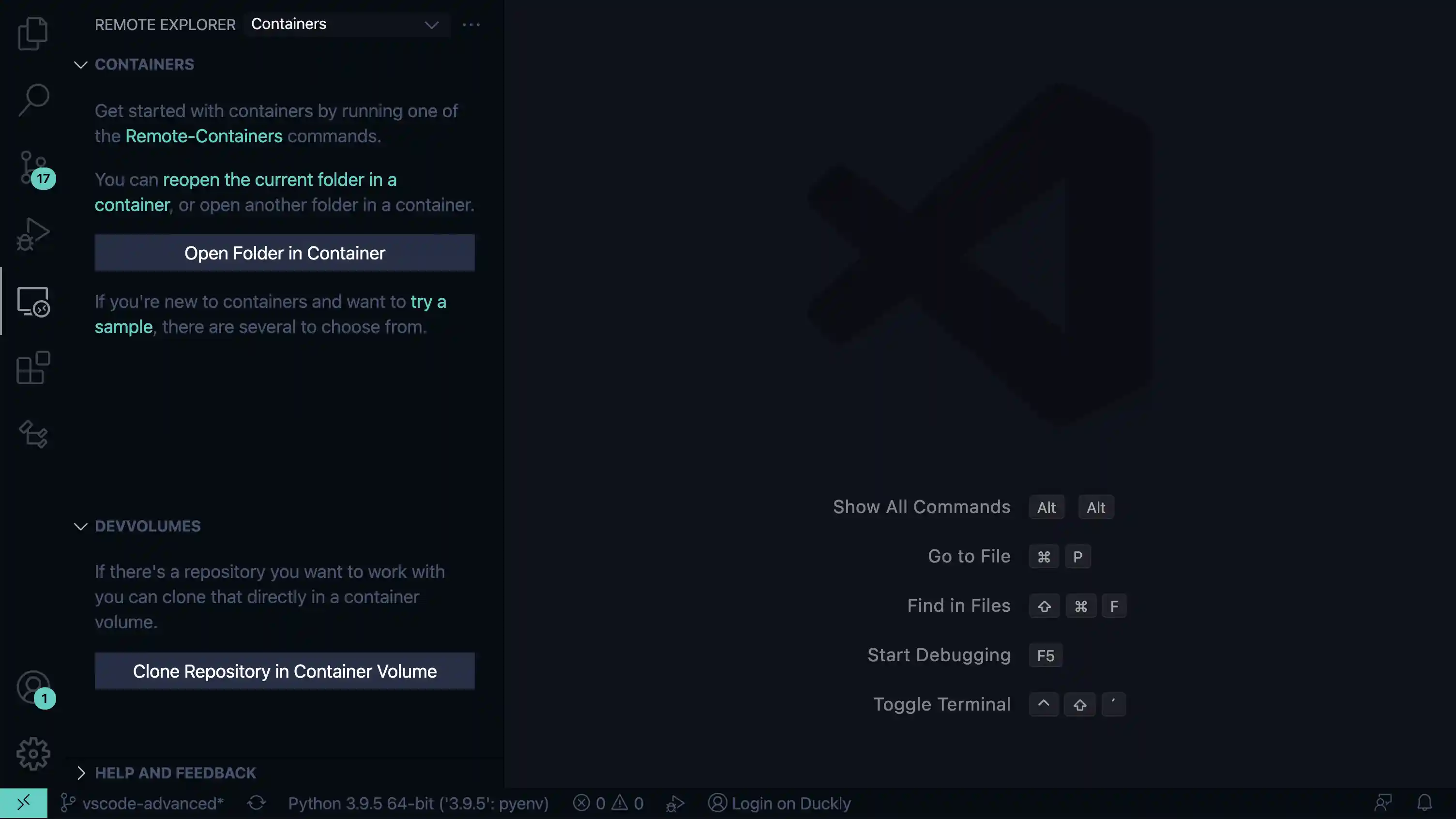 VS Code Remote Container Window