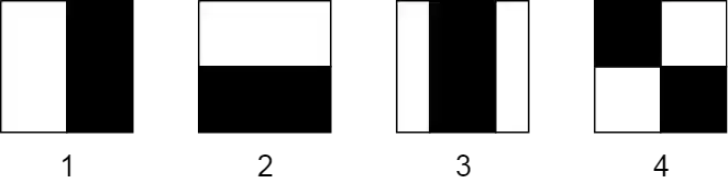 Example of 4 haar-like features