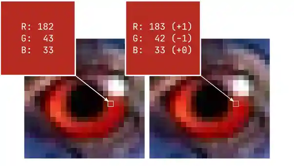 Original Bitmap vs Altered Bitmap With Secret Data