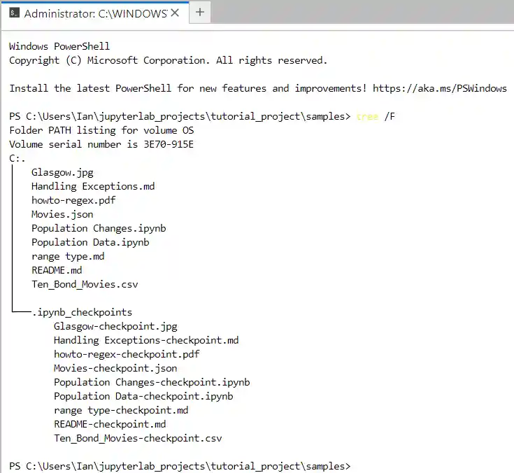 a windows powershell terminal