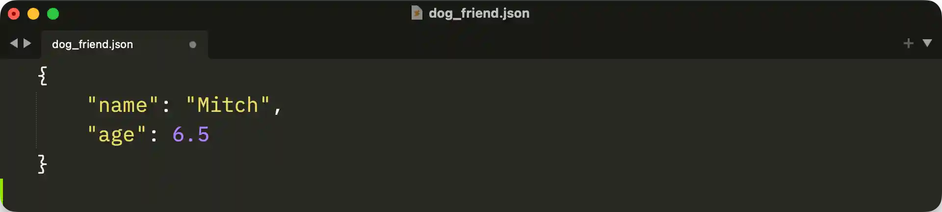 Formatted JSON code