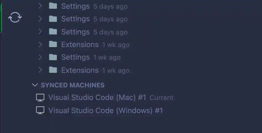 VS Code Settings Sync Data