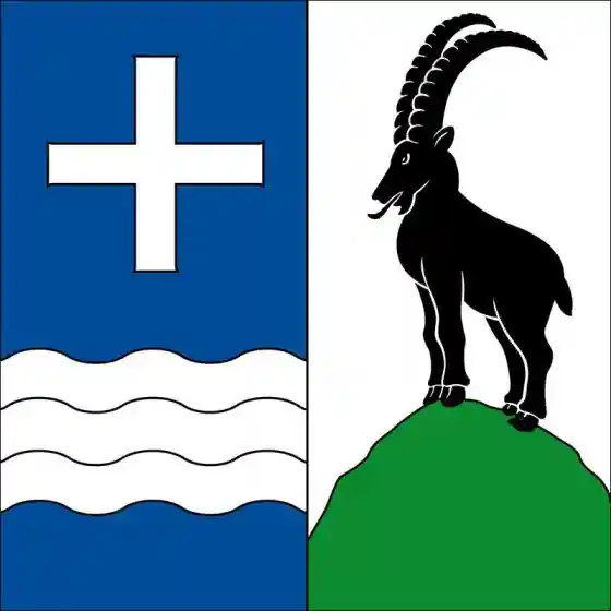 [Flag of Wildhaus-Alt St. Johann]