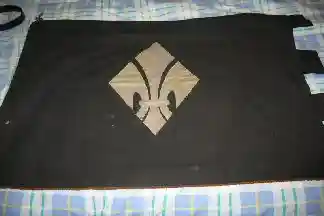 [Flag of Hannover? - reverse]