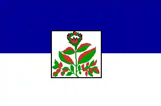 [Reported imperial flag, 1862]