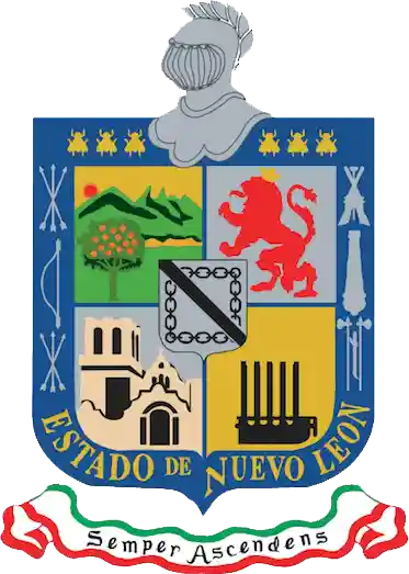 Unofficial Nuevo León people's flag