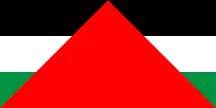 [Palestinian Flag With Rotated Triangle]