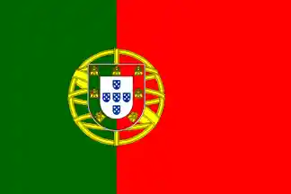 wrong flag (PT)