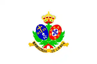 S.C.M.L. flag