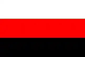 Flag of Kamchatka?