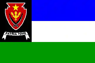 FALINTIL flag