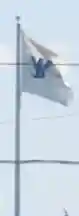 [flag]