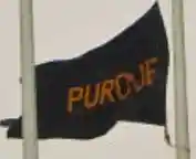 [University flag]