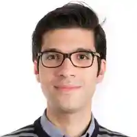 Portrait (Babak Ehteshami Bejnordi)