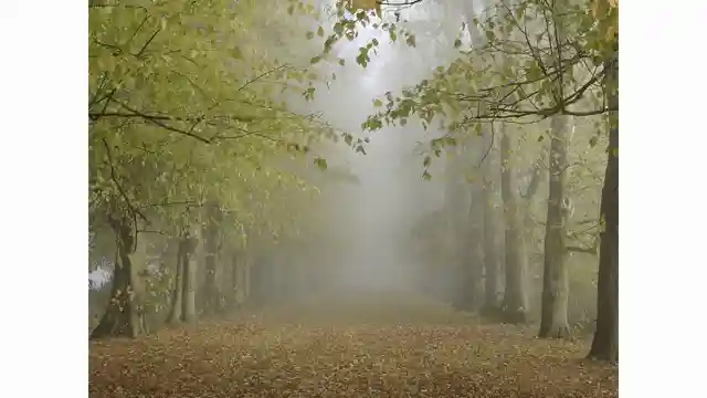 NAS-DIP project teaser animation