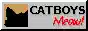 Catboys