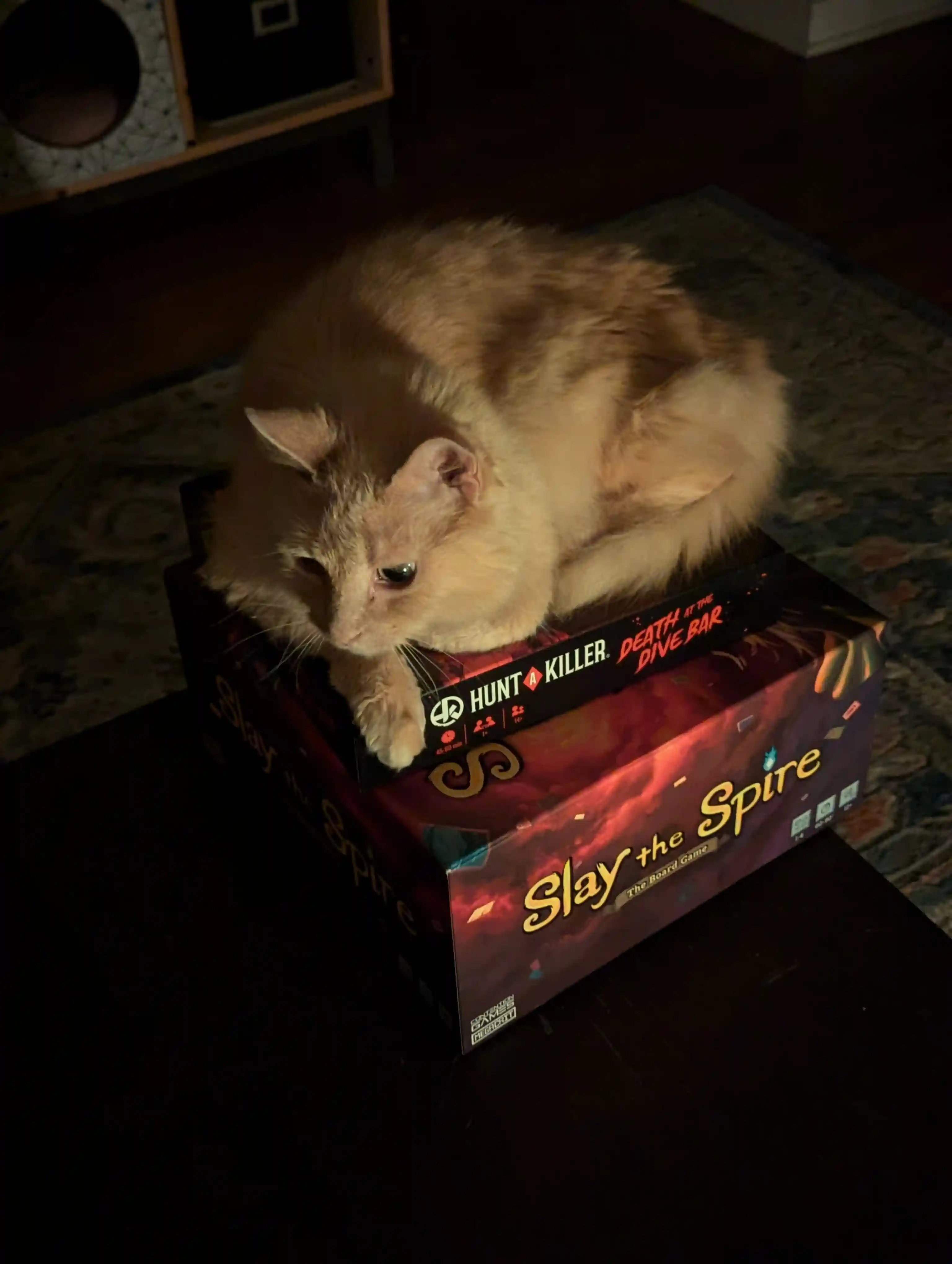 Gnocchi, an orange cat and a good boy, lazing around on top of a stack of board games