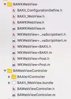BAWKWebView
