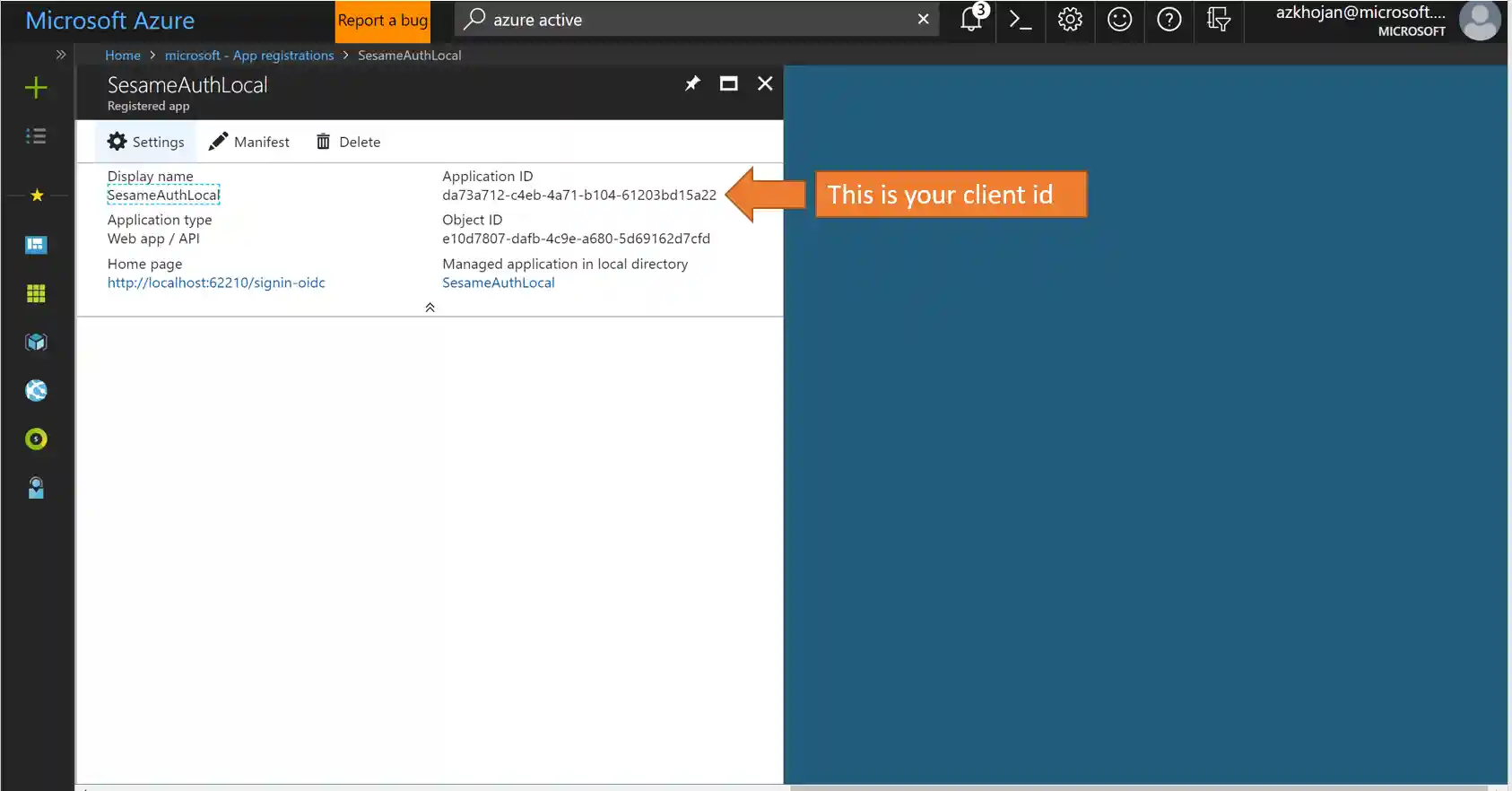 Screenshot of where the Client Id is